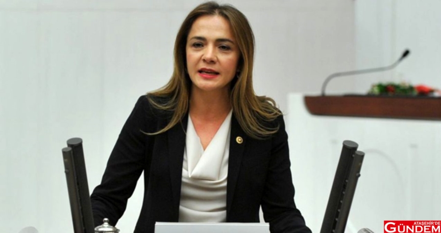 İLGEZDİ SANATIN VE SANATÇININ HAKKINI MECLİSE TAŞIDI RTHYFŞGIP