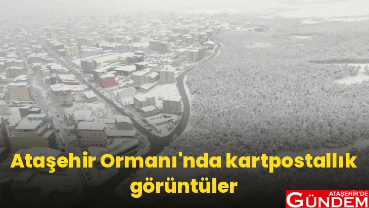 ATAŞEHİR'DEN KARTPOSTALLIK KAR MANZARASI atasehir-ormani-nda-kartpostal_1643008683_W8hna7