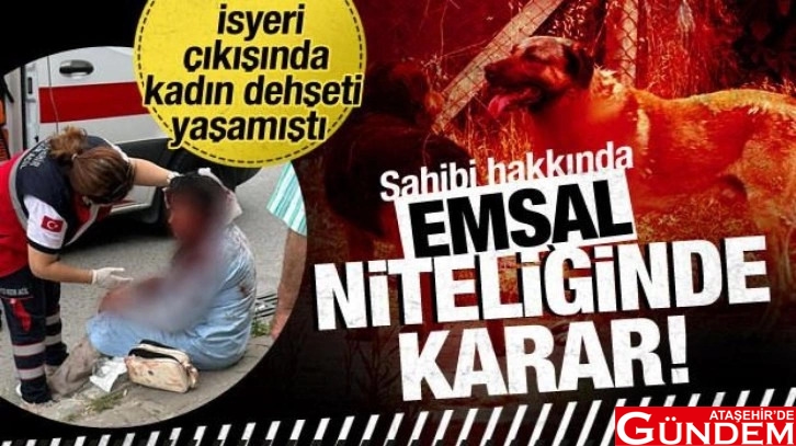 "TAKSİRLE YARALAMA" SUÇUNDAN ANADOLU ADLİYESİ'NE SEVK EDİLDİ atasehirde-kadina-saldiran-kopegin-sahibi-tutuklandi
