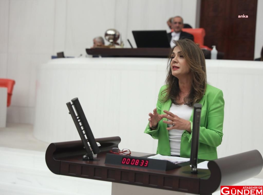 GAMZE AKKUŞ İLGEZDİ: “YOKSULLUK TÜRKİYE’NİN KRONİK BİR SORUNU HALİNE GELMİŞTİR” dff8f3ec-adad-447c-adb1-669c7cd25729-w