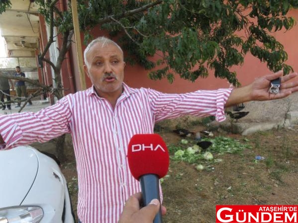 FERHATPAŞALILAR  BU CANİYLE BİRLİKTE YAŞIYORSUNUZ! kopegi-olduresiye-doven-kisi-tavugu-almaya-14323325_osd