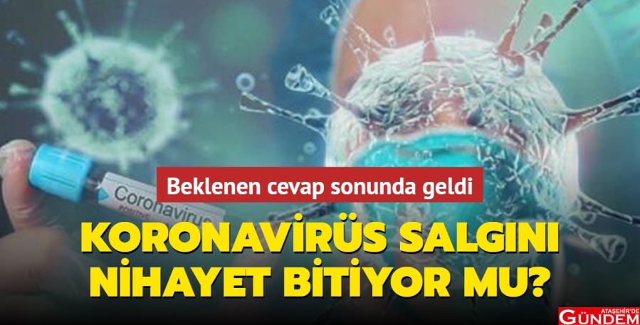 BU CEVABI HEPİMİZ MERAK EDİYORUZ koronavirus-salgini-nihay-124