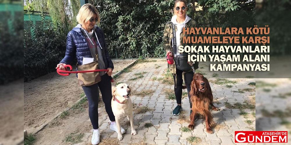 Hayvanlara Kötü Muameleye İmza Kampanyası Başlatıldı qqeeww
