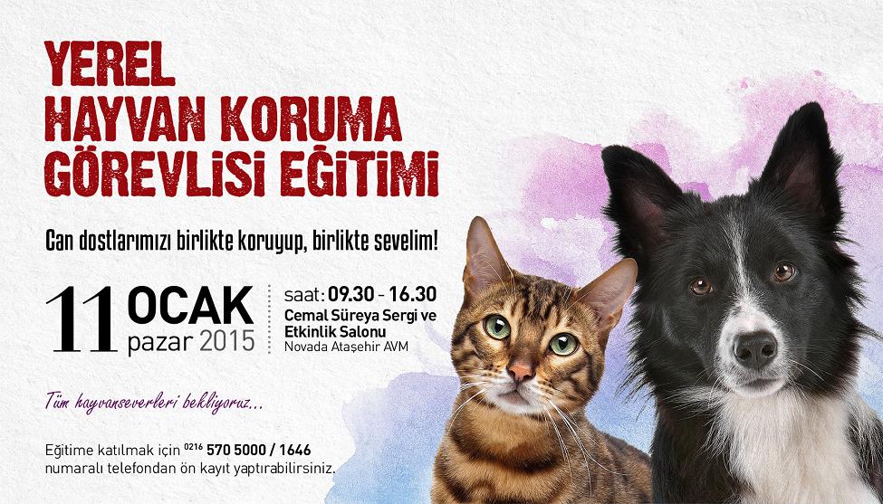 HAYVANSEVERLER EĞİTİMDE BULUŞUYOR 1